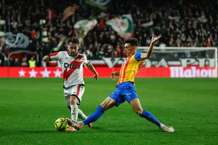 雨燕直播免费观看